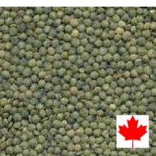 Lentils, French Green 11.34 KG